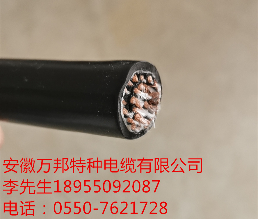 15934245638033.jpg W5.jpg