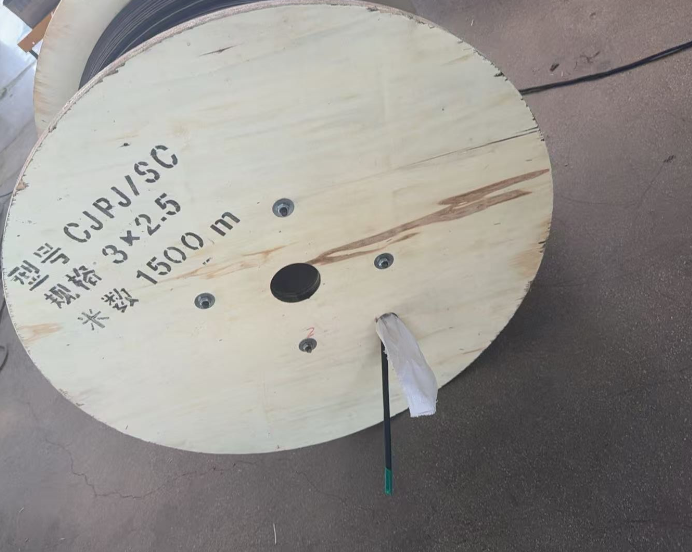 17555649209316.png CJPJSC.png