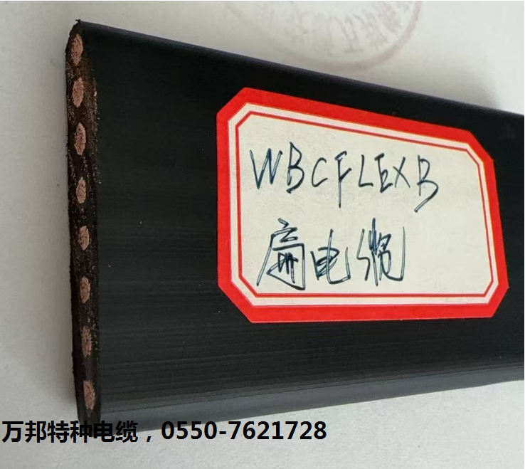 WBCFLEXB扁电缆